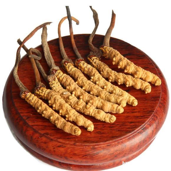 上海回收冬虫夏草回收茅台酒